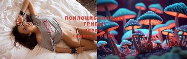 соль курить ск Арсеньев
