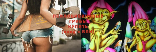 соль ск Аркадак
