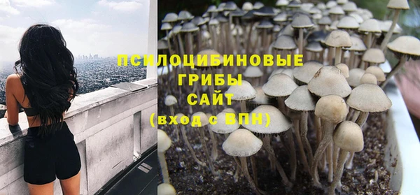 соль ск Аркадак