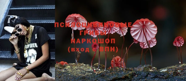 соль ск Аркадак