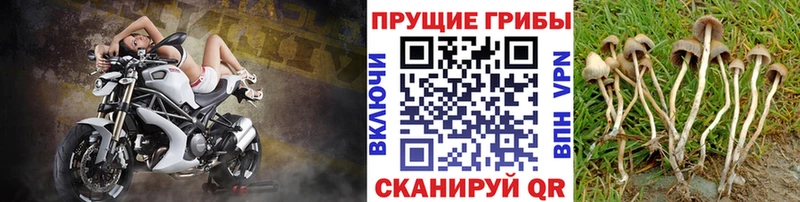 Галлюциногенные грибы прущие грибы  мега сайт  Сосногорск 